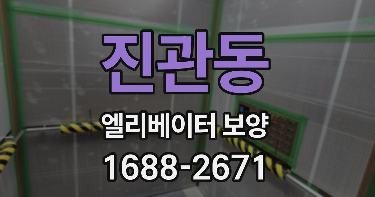 진관동 엘리베이터 보양