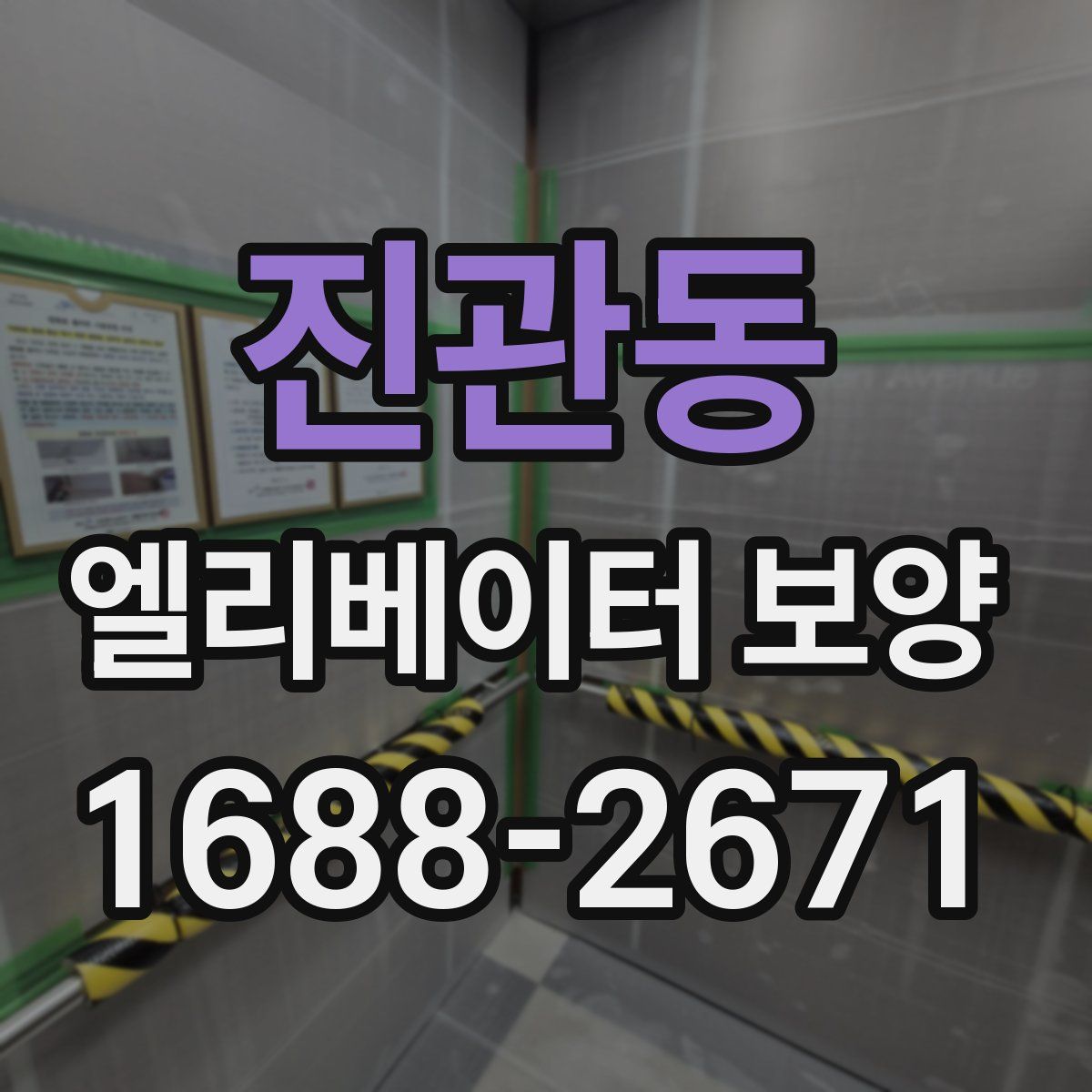 진관동 엘리베이터 보양