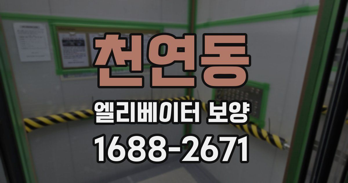 천연동 엘리베이터 보양