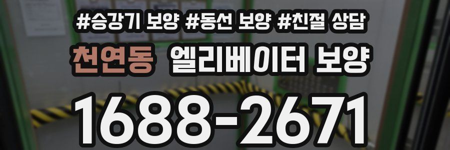 천연동 엘리베이터 보양