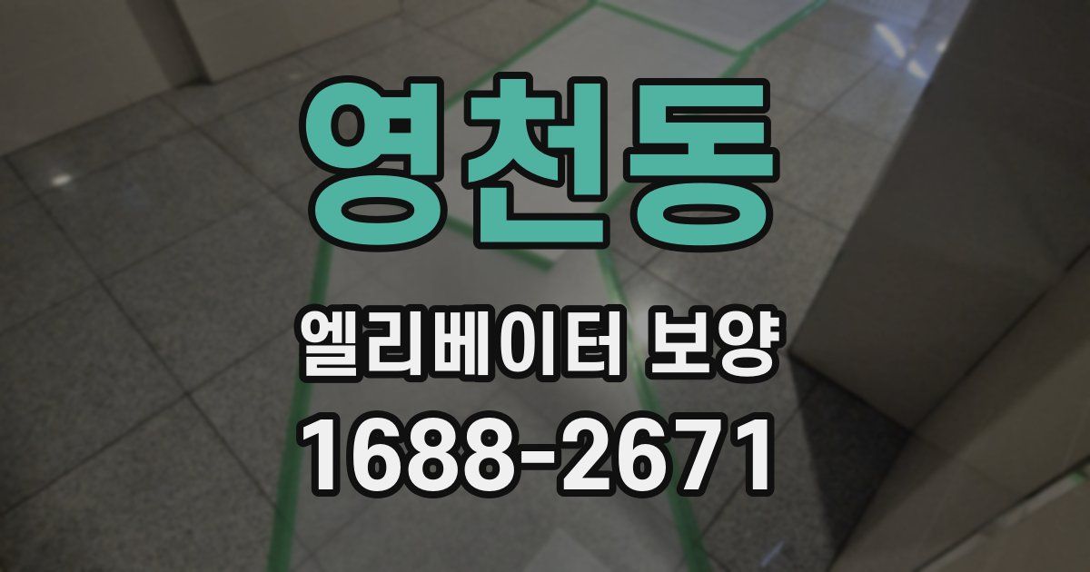 영천동 엘리베이터 보양