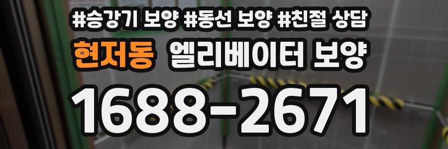 현저동 엘리베이터 보양