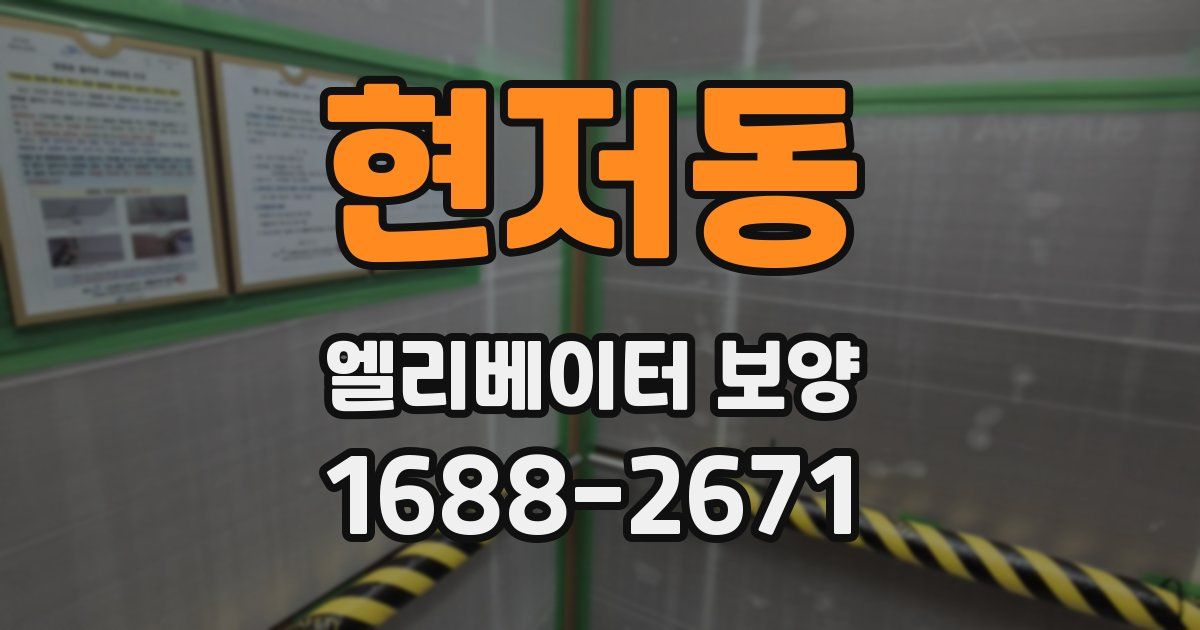 현저동 엘리베이터 보양