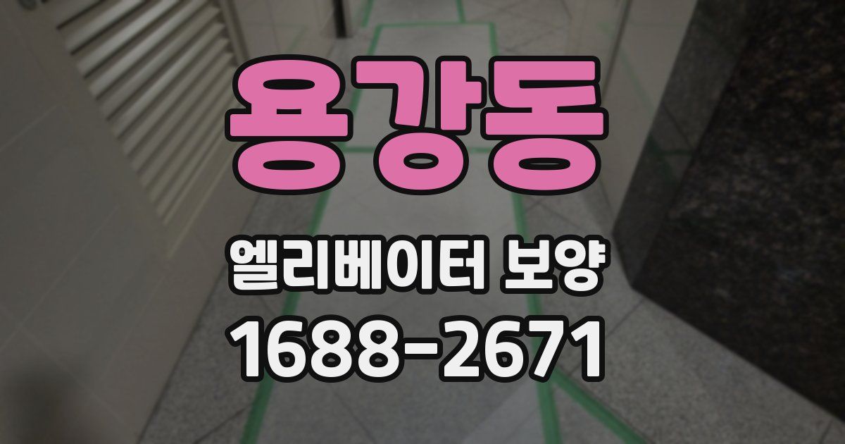 용강동 엘리베이터 보양