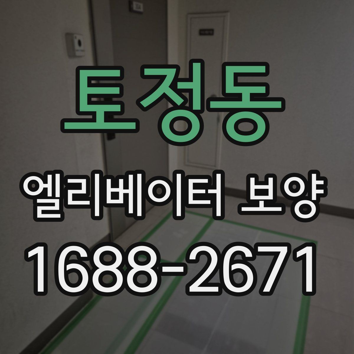 토정동 엘리베이터 보양 자재별 활용도와 선택 기준