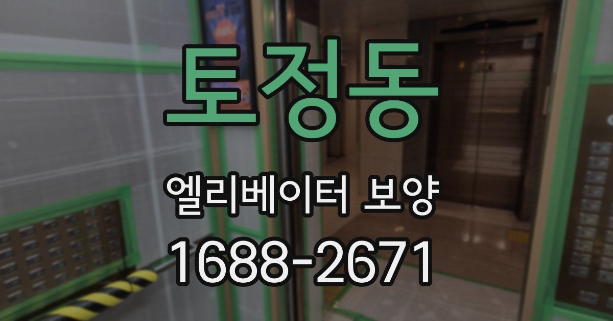 토정동 엘리베이터 보양