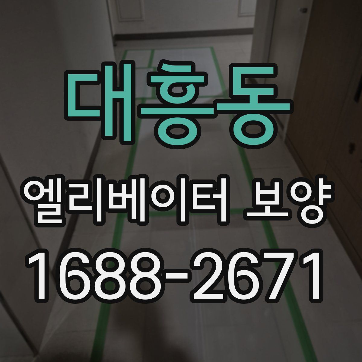 대흥동 엘리베이터 보양