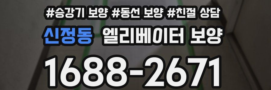 신정동 엘리베이터 보양