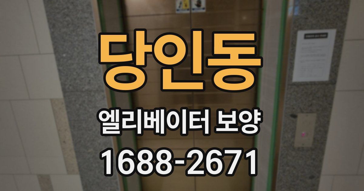 당인동 엘리베이터 보양