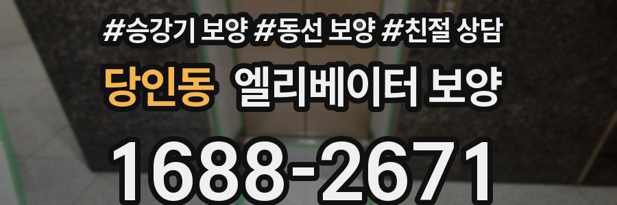 당인동 엘리베이터 보양