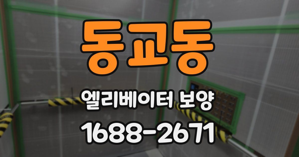 동교동 엘리베이터 보양