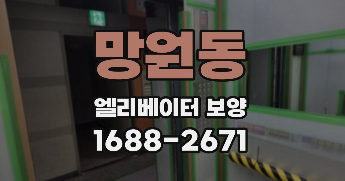 망원동 엘리베이터 보양