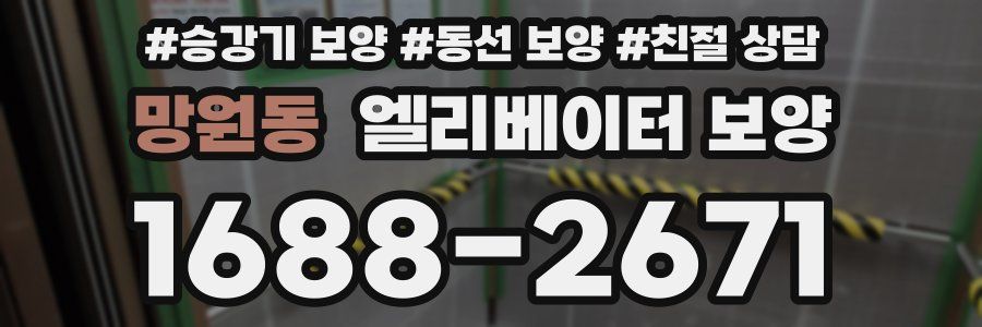 망원동 엘리베이터 보양