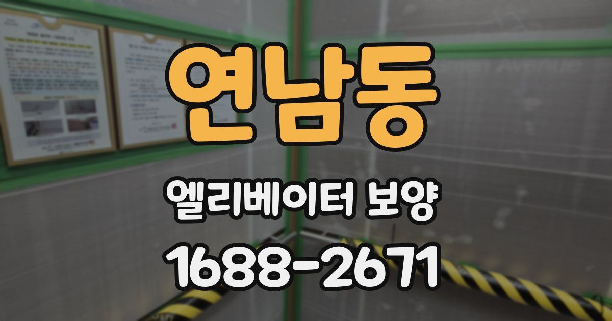 연남동 엘리베이터 보양