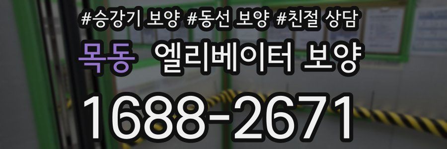 목동 엘리베이터 보양
