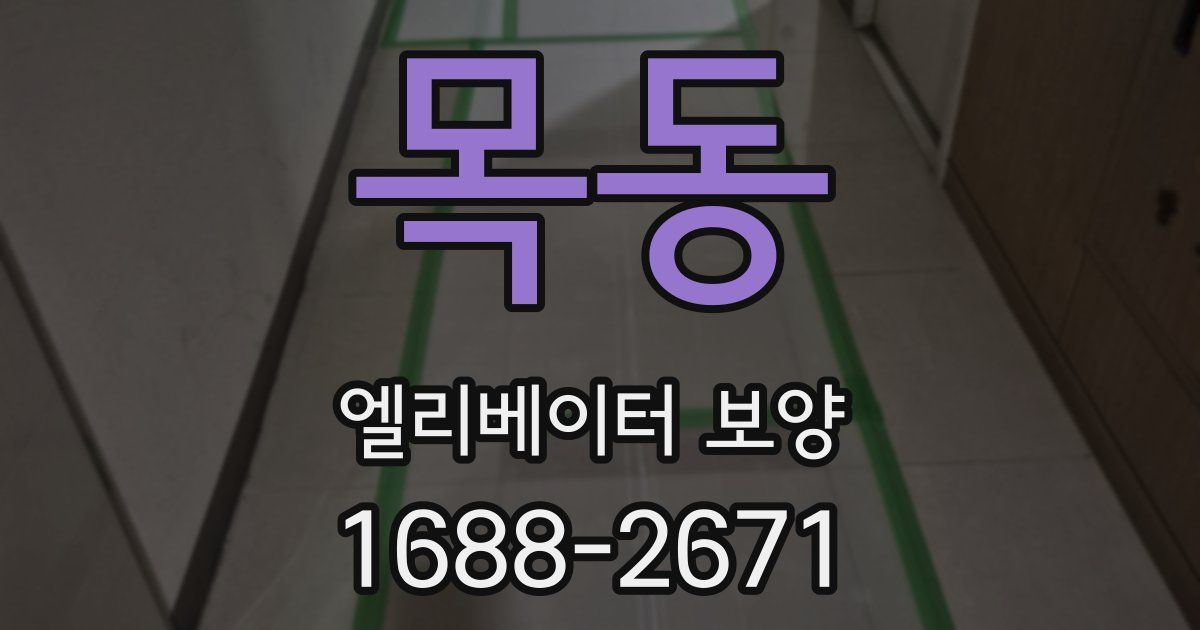 목동 엘리베이터 보양