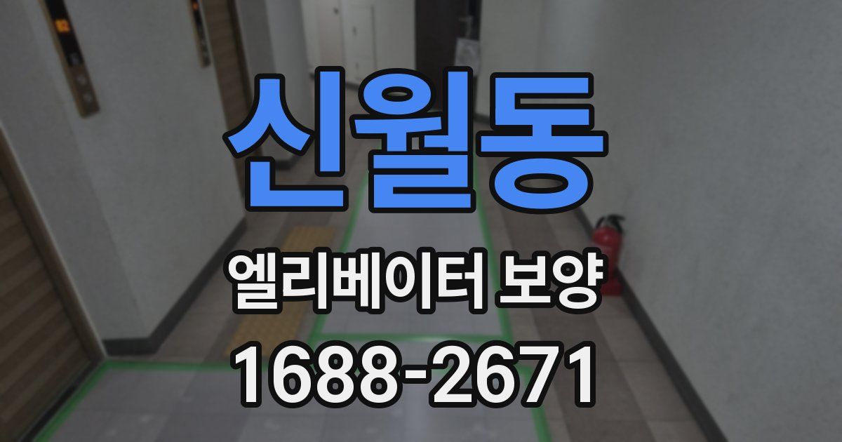 신월동 엘리베이터 보양