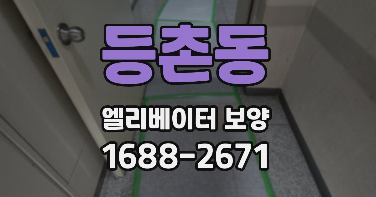 등촌동 엘리베이터 보양