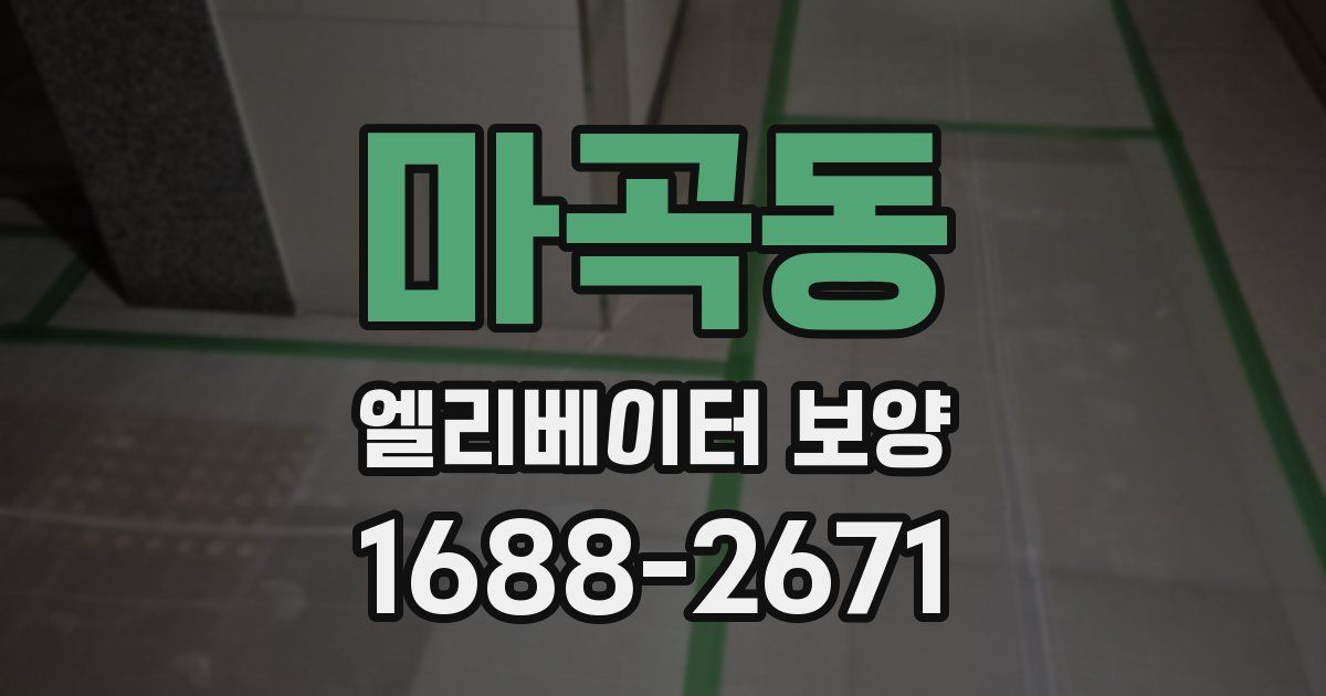 마곡동 엘리베이터 보양