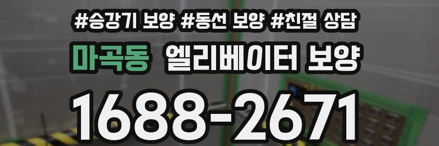마곡동 엘리베이터 보양