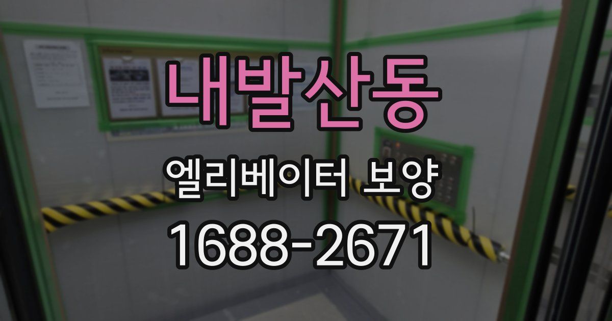 내발산동 엘리베이터 보양