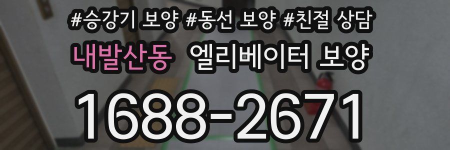 내발산동 엘리베이터 보양