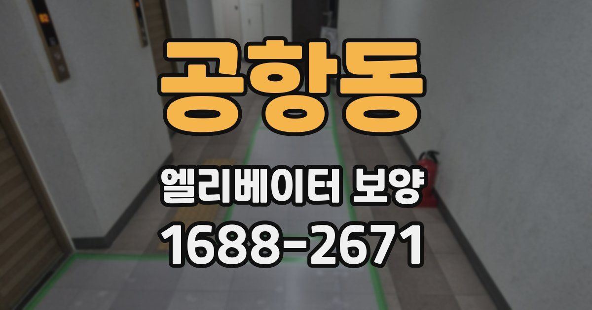 공항동 엘리베이터 보양