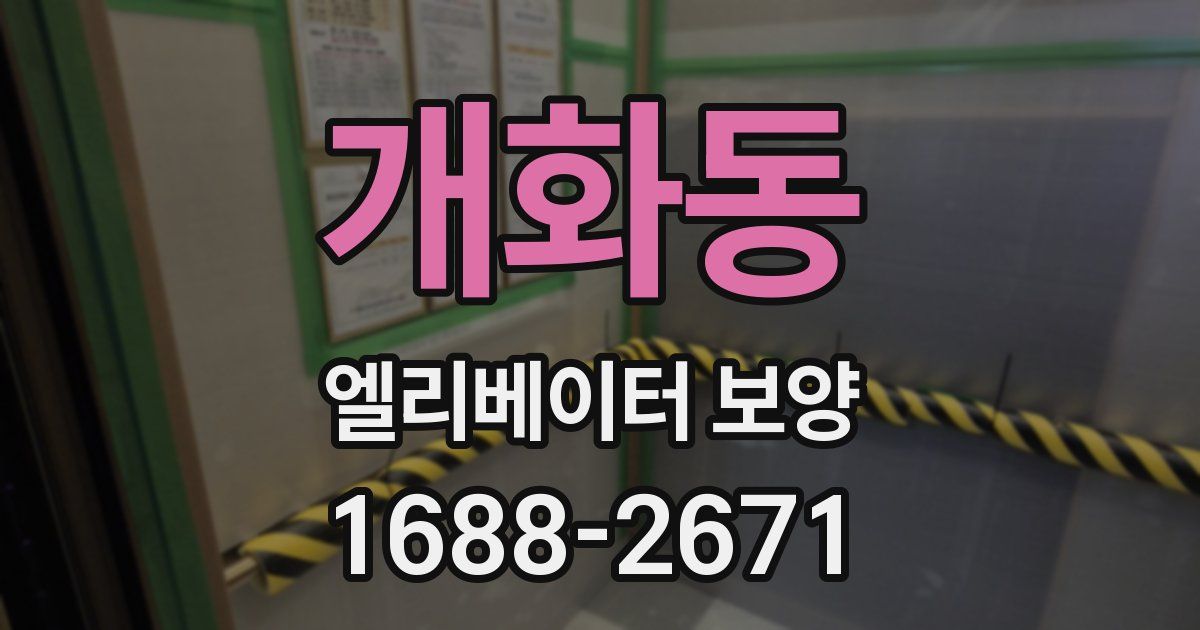 개화동 엘리베이터 보양