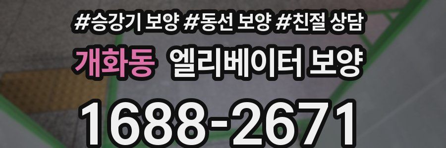 개화동 엘리베이터 보양