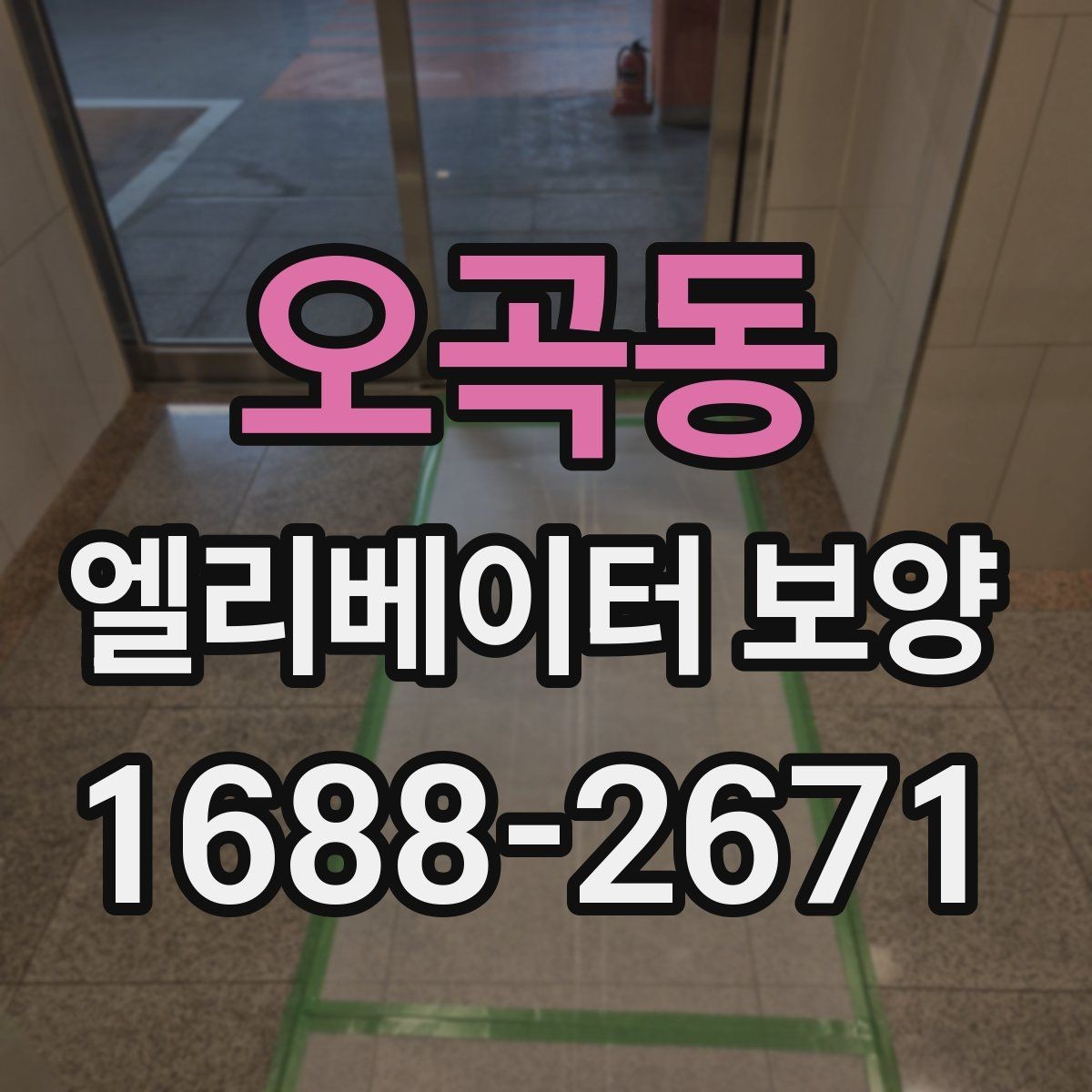 오곡동 엘리베이터 보양 현장 대응이 빠른 업체를 고르는 기준