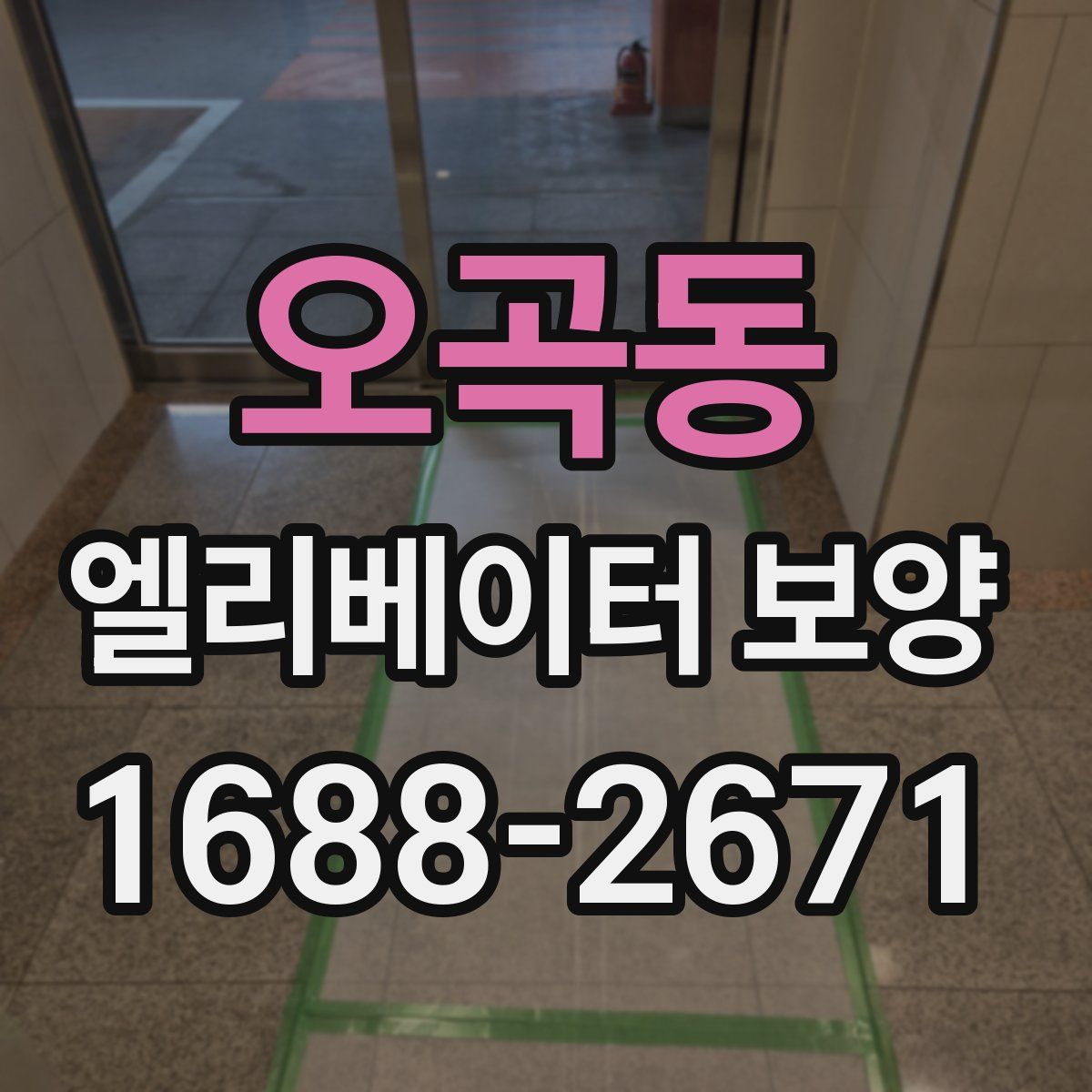 오곡동 엘리베이터 보양