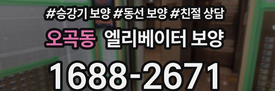 오곡동 엘리베이터 보양