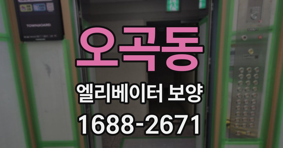 오곡동 엘리베이터 보양