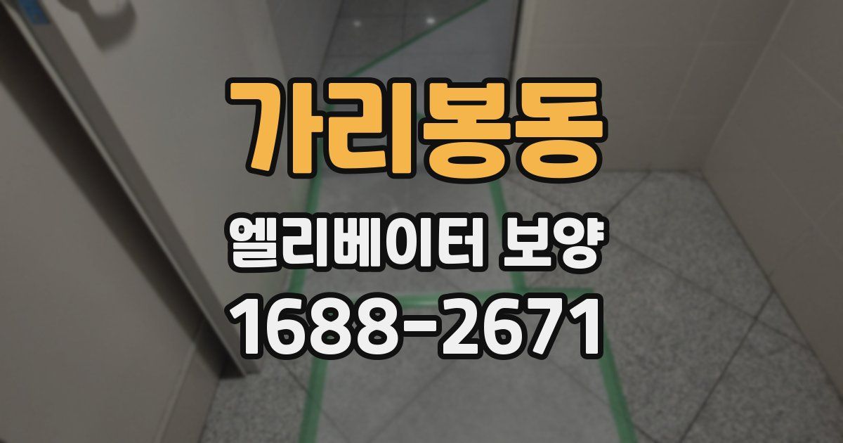 가리봉동 엘리베이터 보양