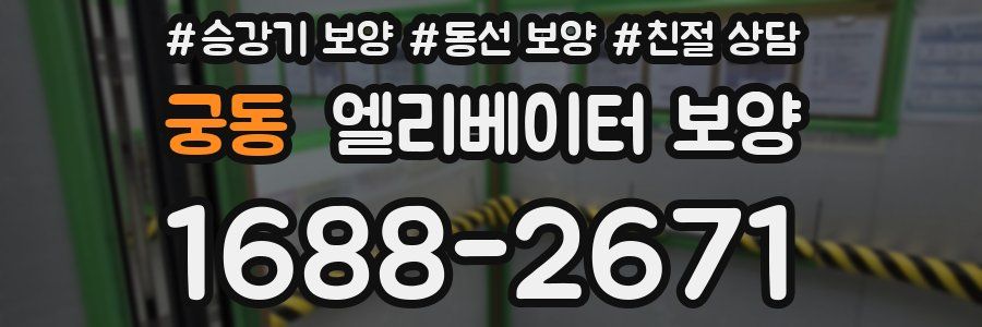 궁동 엘리베이터 보양