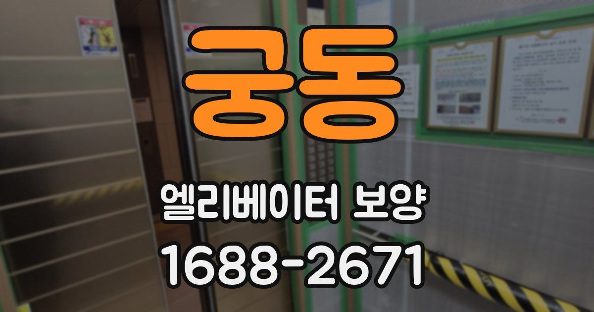 궁동 엘리베이터 보양