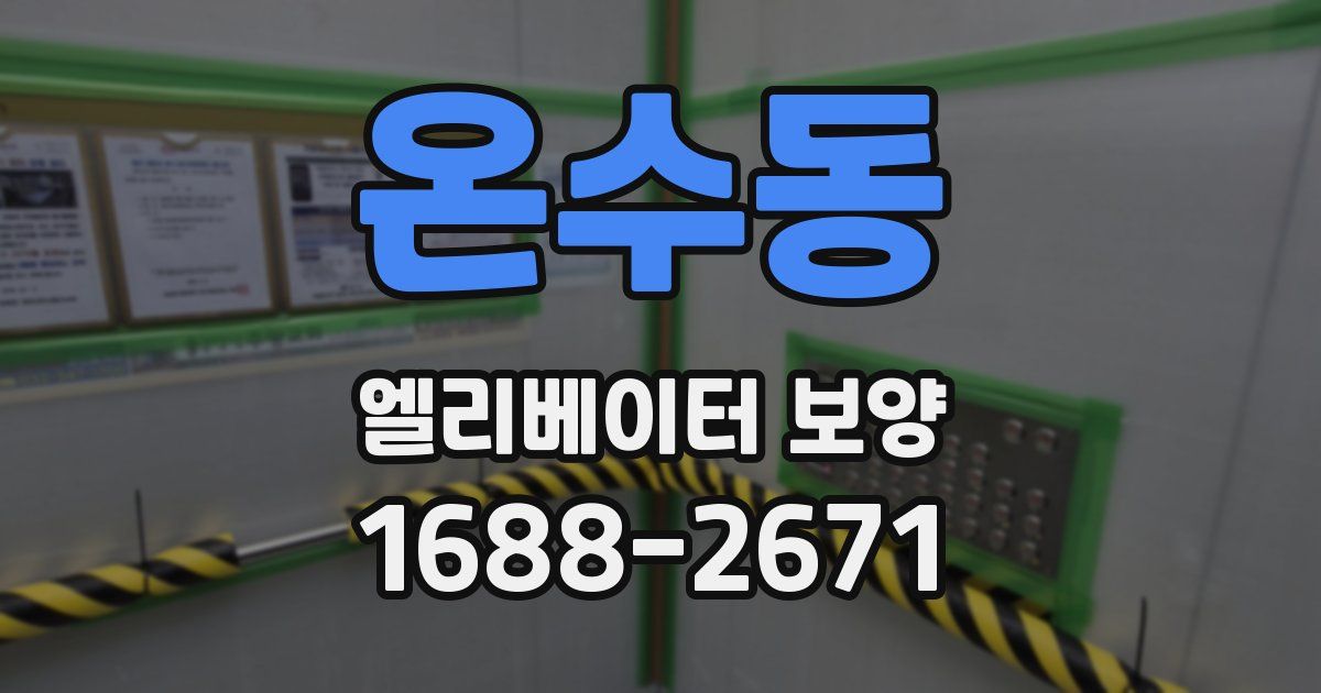 온수동 엘리베이터 보양