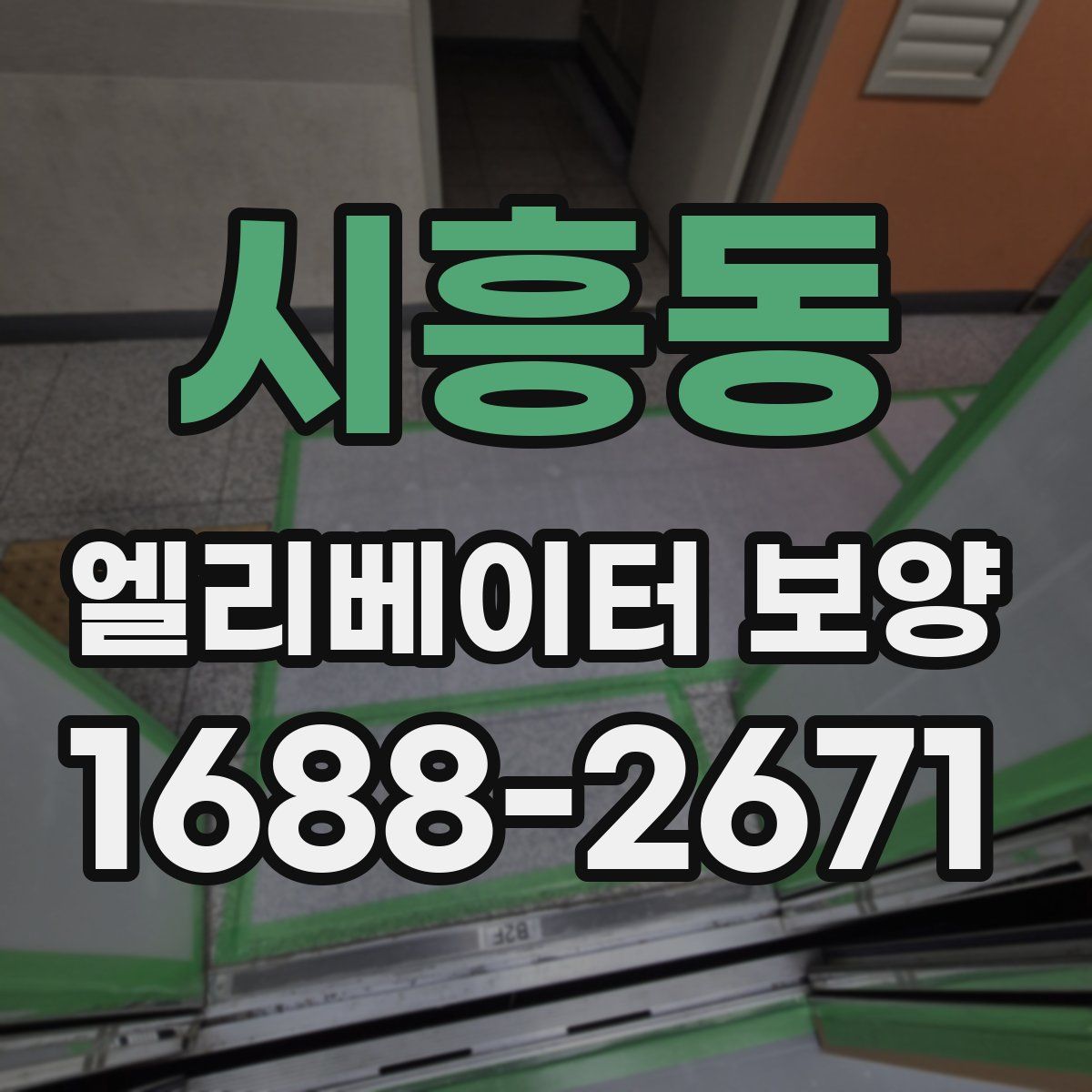 시흥동 엘리베이터 보양