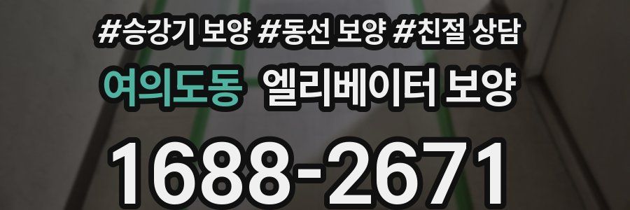 여의도동 엘리베이터 보양