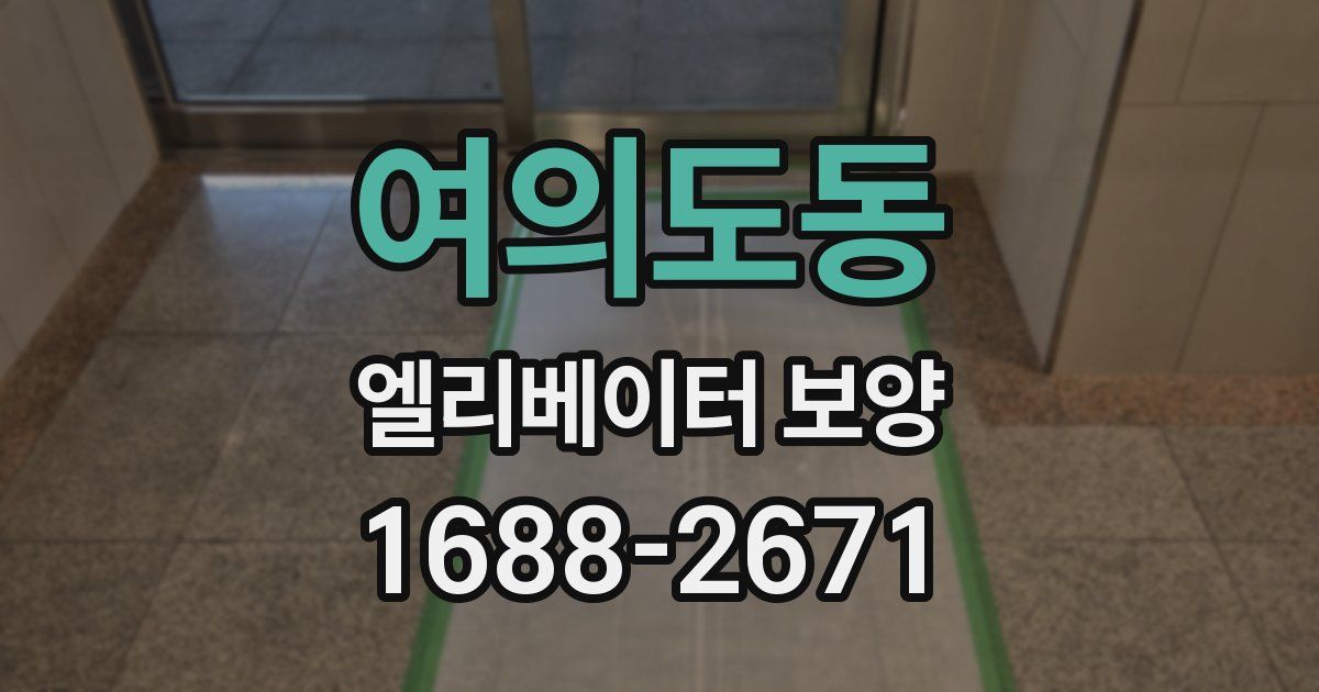여의도동 엘리베이터 보양