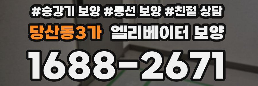 당산동3가 엘리베이터 보양