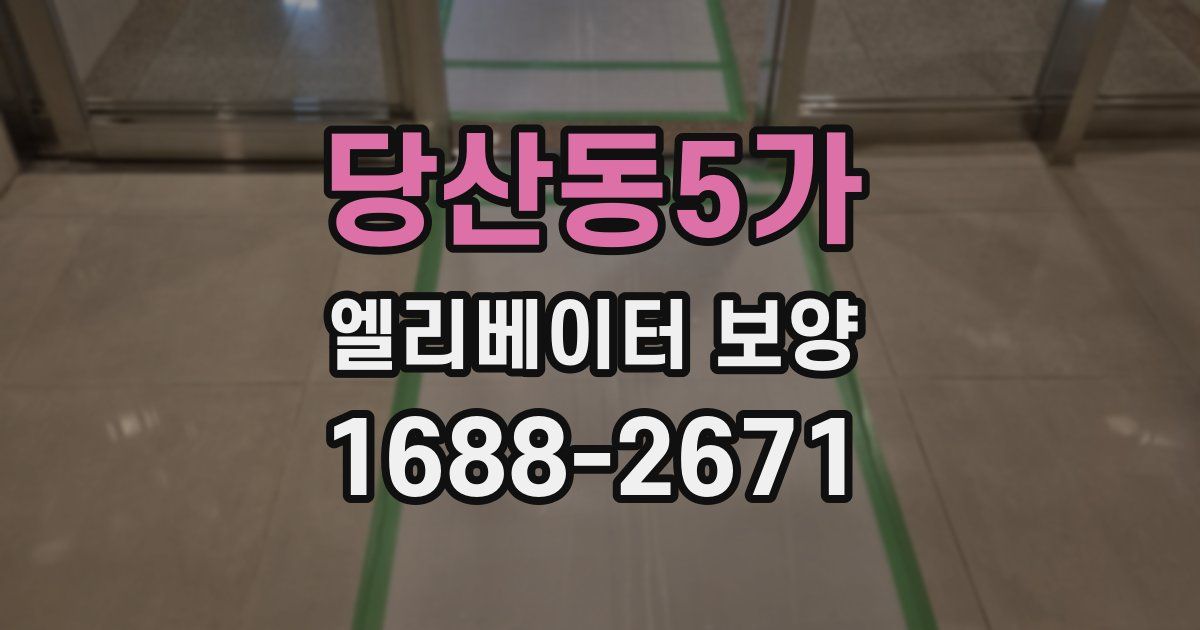 당산동5가 엘리베이터 보양