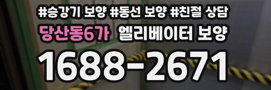 당산동6가 엘리베이터 보양