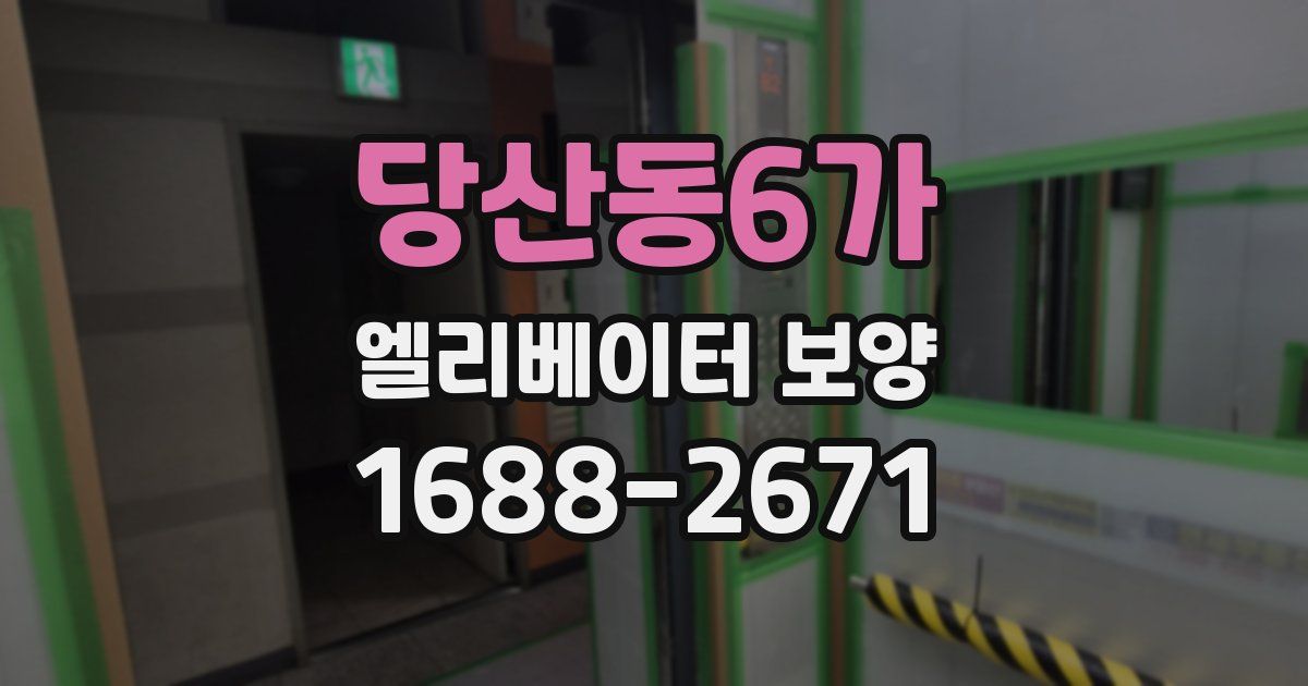 당산동6가 엘리베이터 보양