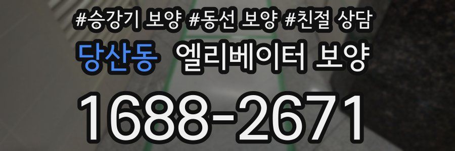 당산동 엘리베이터 보양