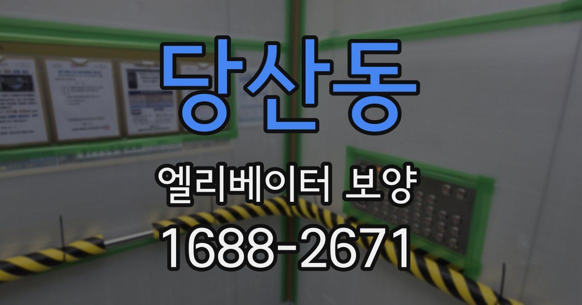 당산동 엘리베이터 보양