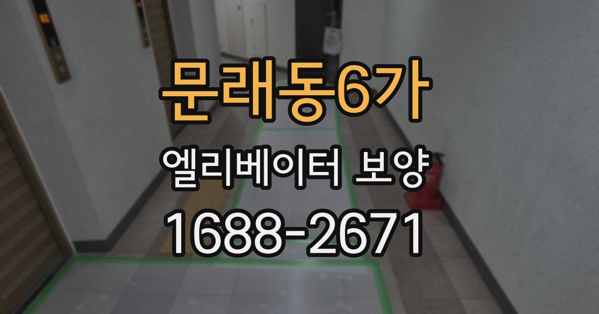 문래동6가 엘리베이터 보양