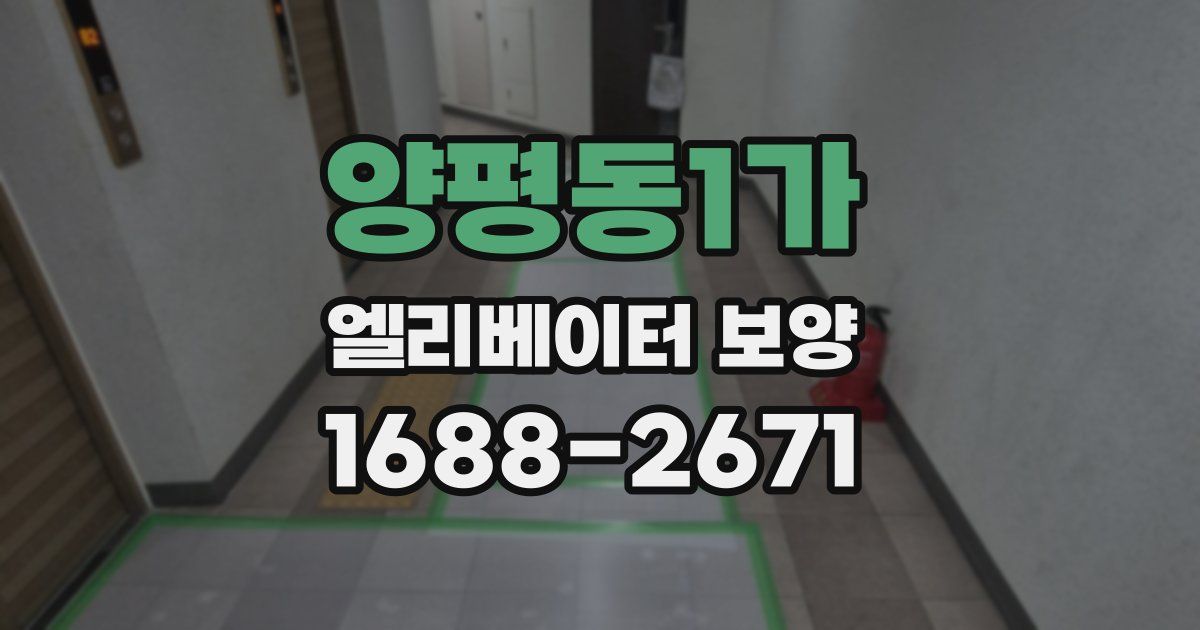 양평동1가 엘리베이터 보양