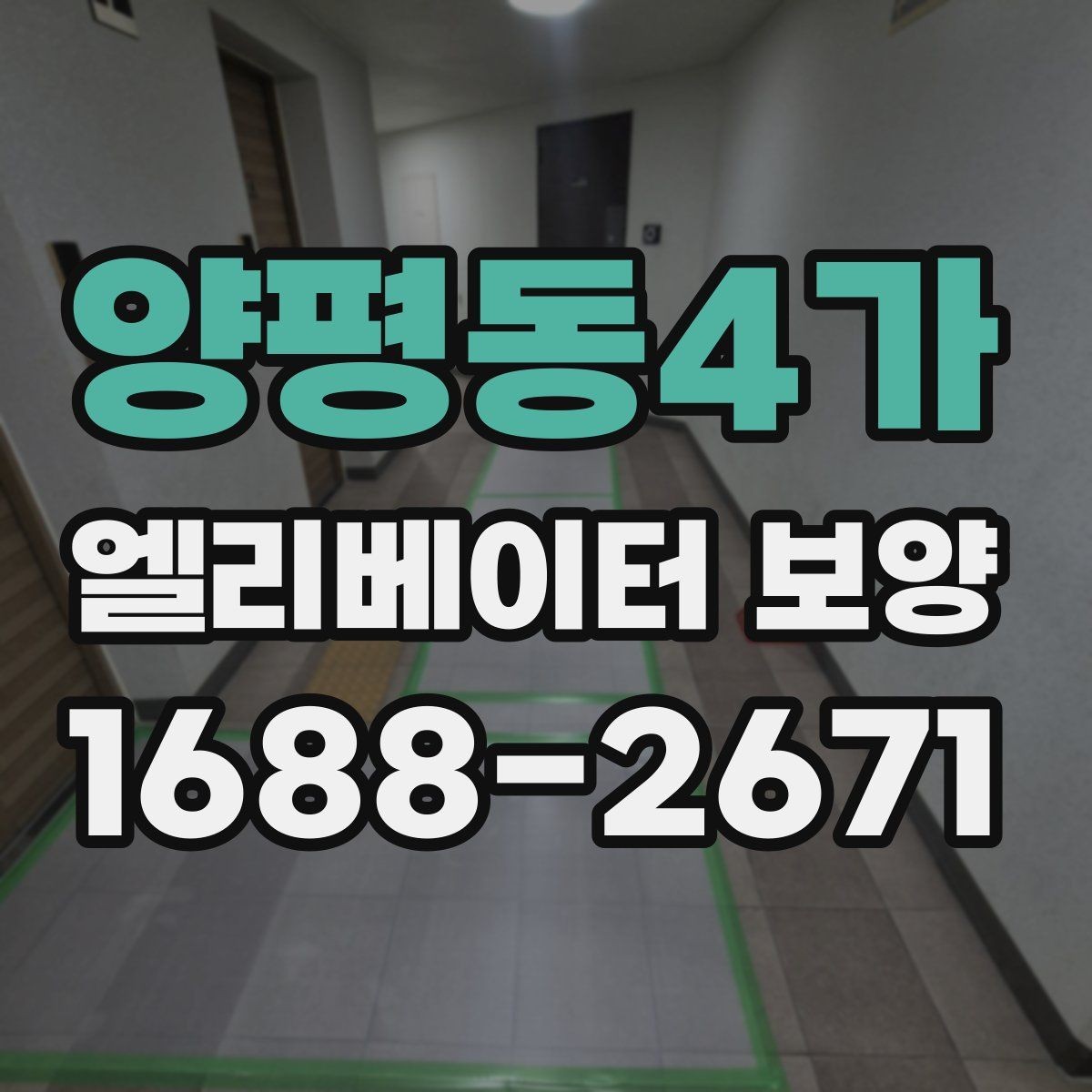 양평동4가 엘리베이터 보양 공사에서 흔히 놓치는 부분