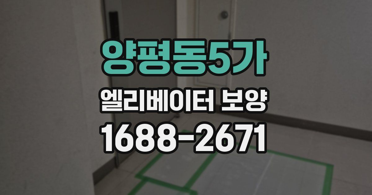 양평동5가 엘리베이터 보양